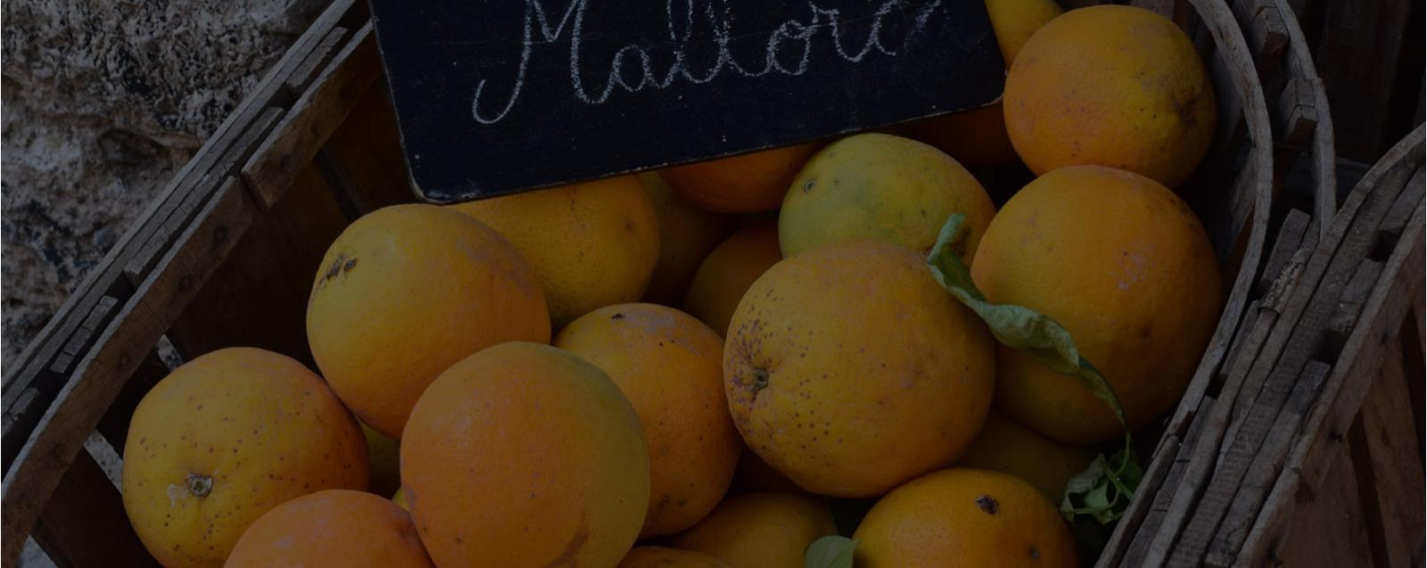 <strong>Camp Mallorqui </strong> <span> Alimentación (FMCG)</span>